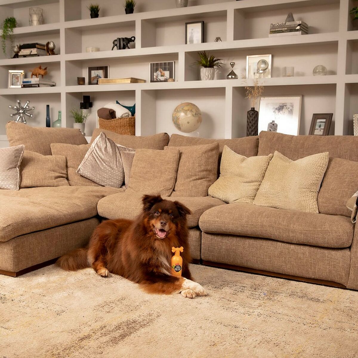 Shampoo Pet Head Ditch the Dirt Orange