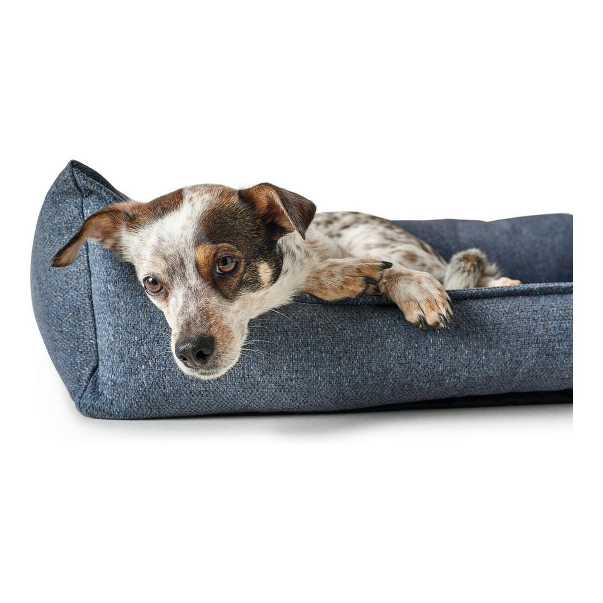 Hundesofa Hunter Prag Blau 70 x 50 cm