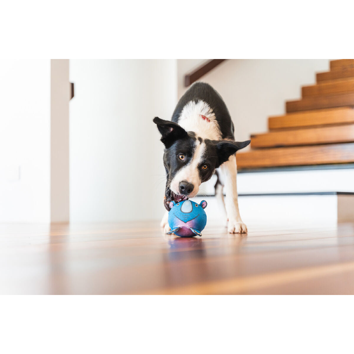 Hundespielzeug Red Dingo 10 cm Nashorn