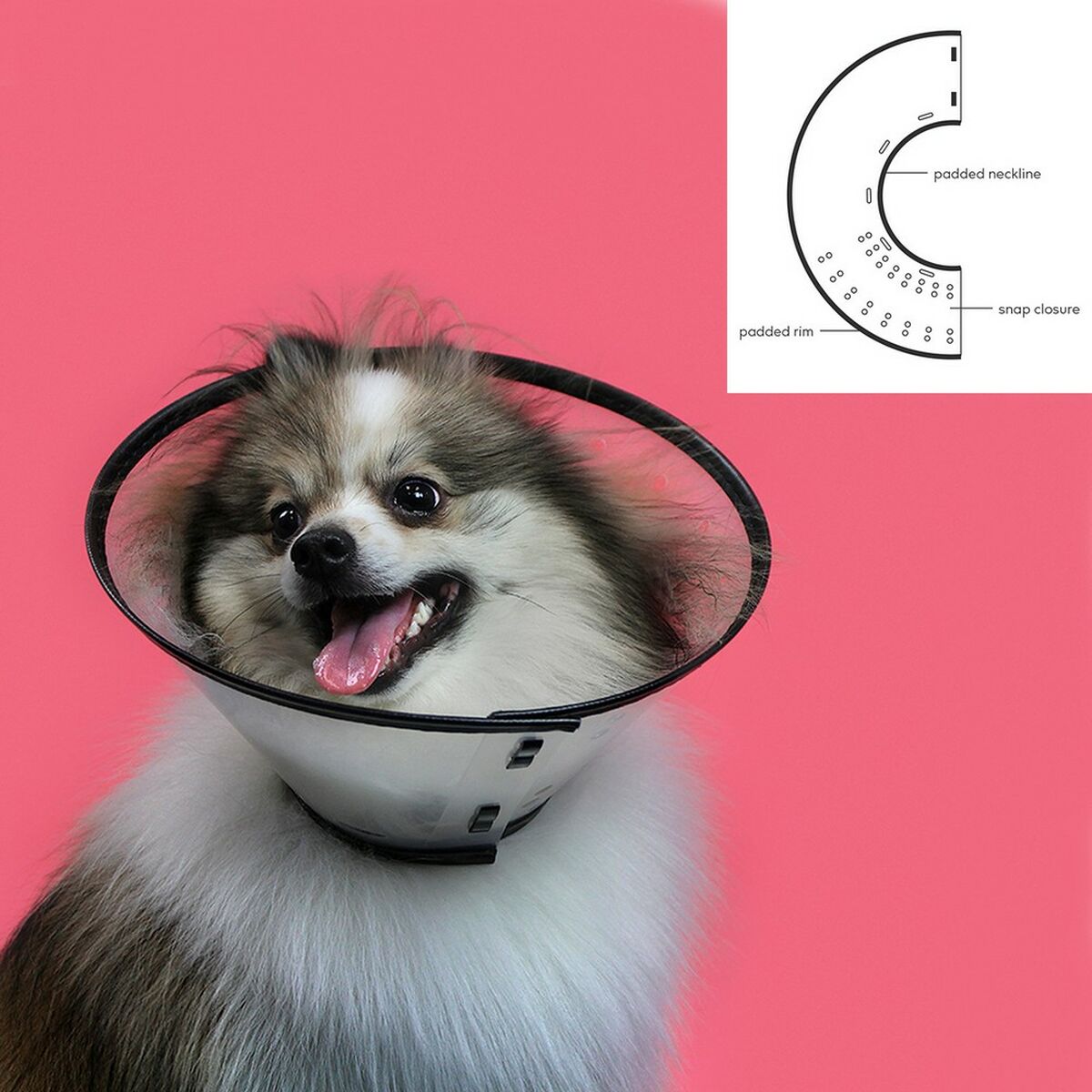 Hunde-Halskrause KVP Saf-T-Clear Durchsichtig (17-20 cm)