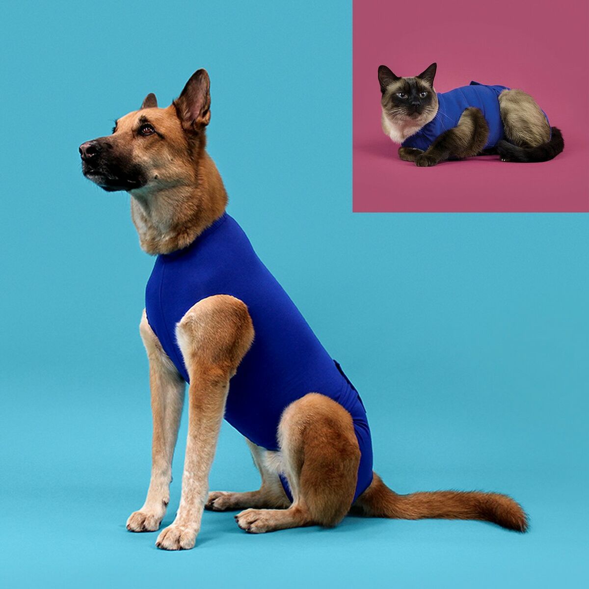 T-Shirt zur Genesung von Haustieren KVP Blau 21-24 cm
