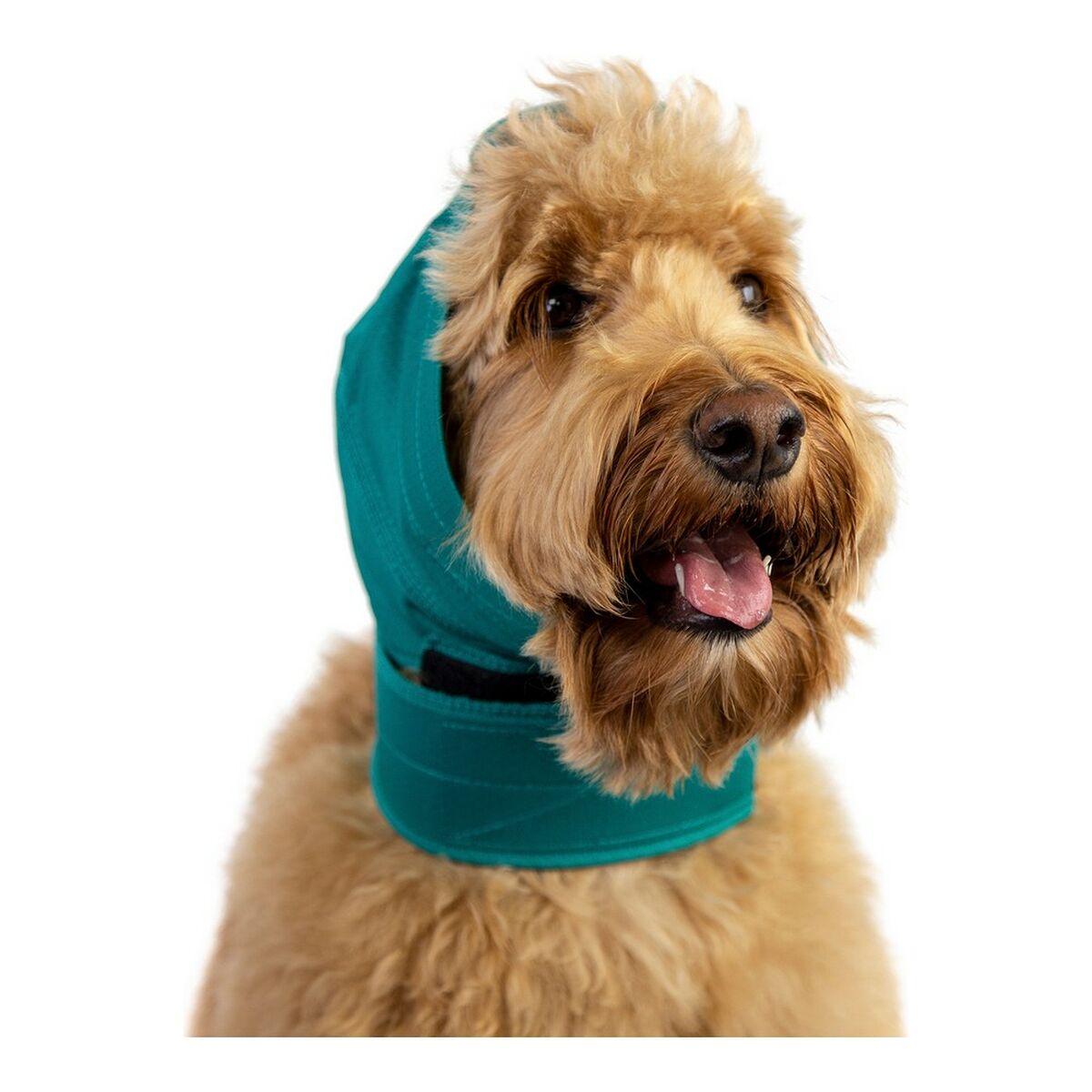 Ohrenschützer für Hunde KVP grün S