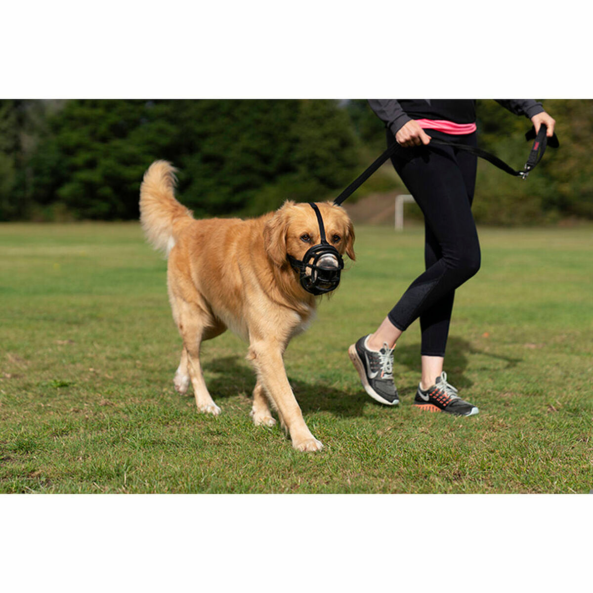 Maulkorb Company of Animals 75690 Schwarz 3