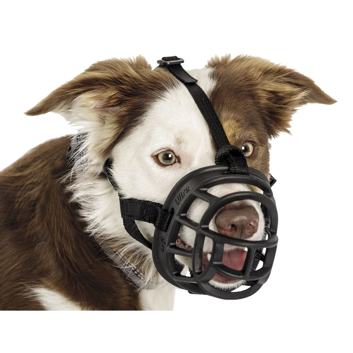Maulkorb Company of Animals 75701 Schwarz 6