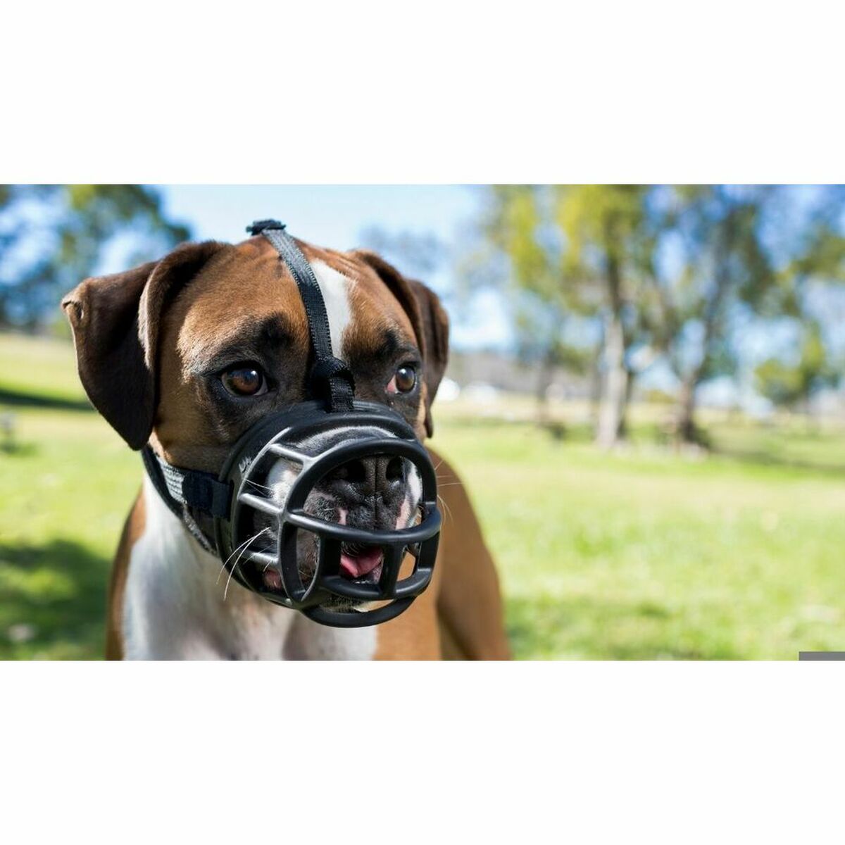 Maulkorb Company of Animals 75701 Schwarz 6