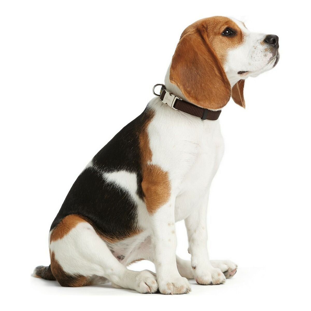 Hundehalsband Hunter Alu-Strong Beige S (30-45 cm)