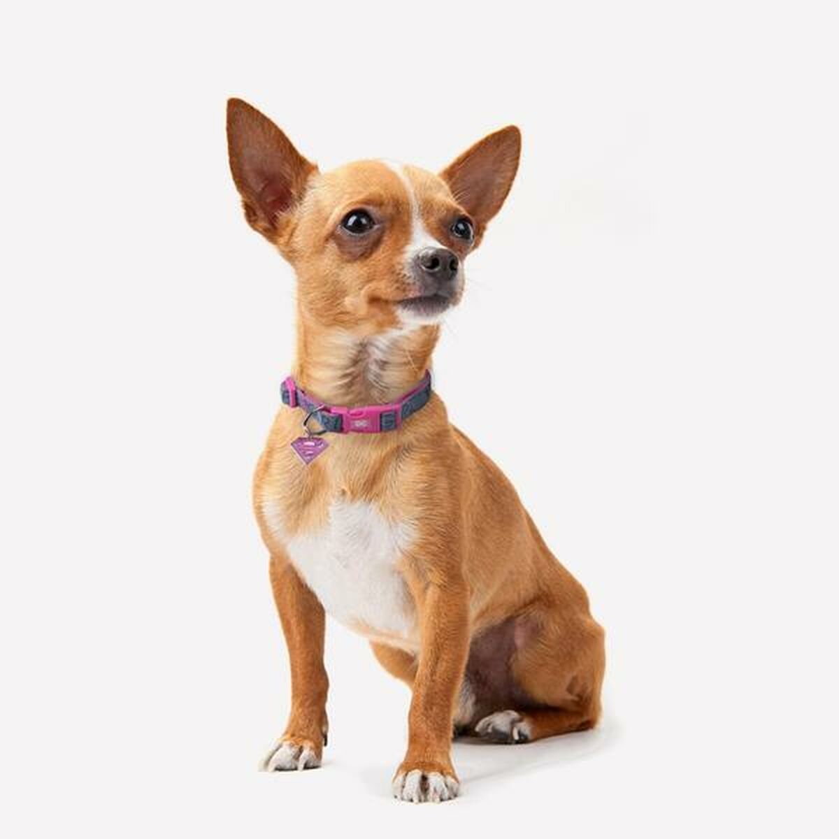 Hundehalsband Superman XXS/XS Rosa