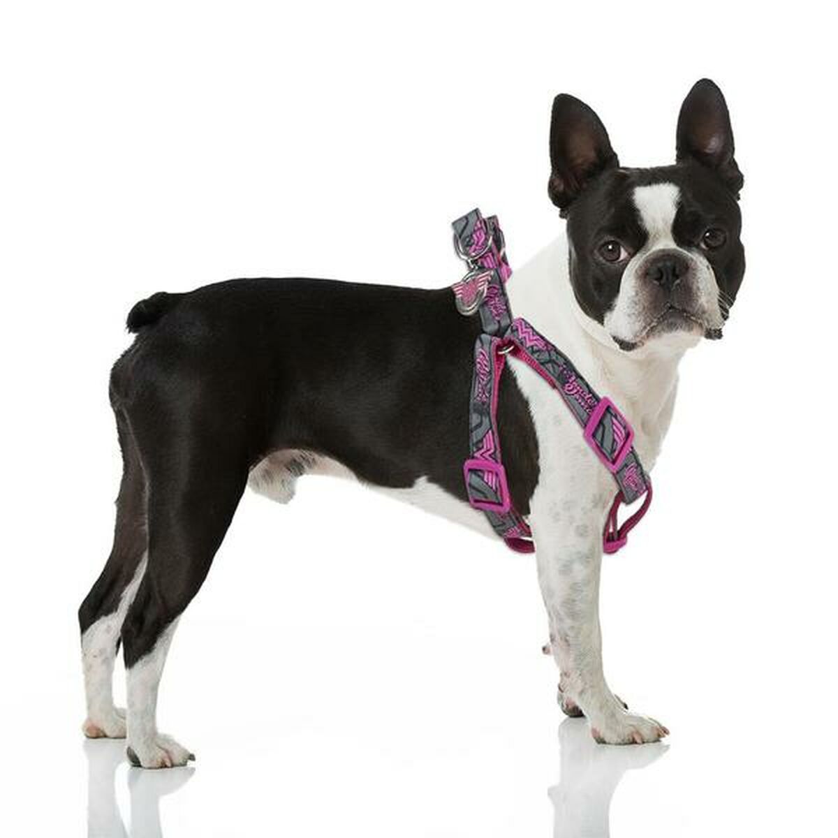 Hundegeschirr Superman XXS/XS Rosa