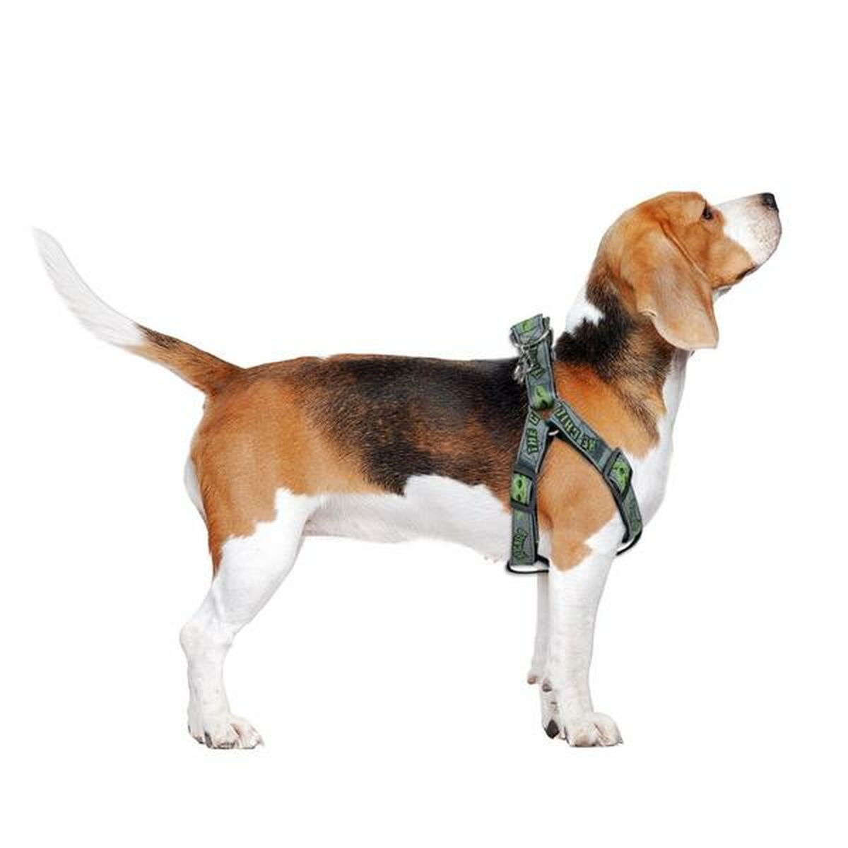 Hundegeschirr The Mandalorian Grau M/L