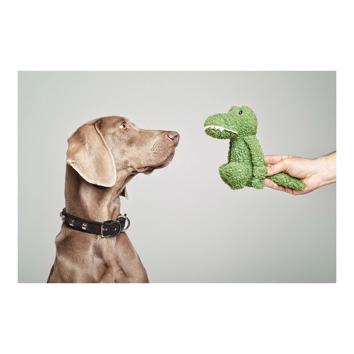 Hundespielzeug Gloria Pinky Krokodil grün