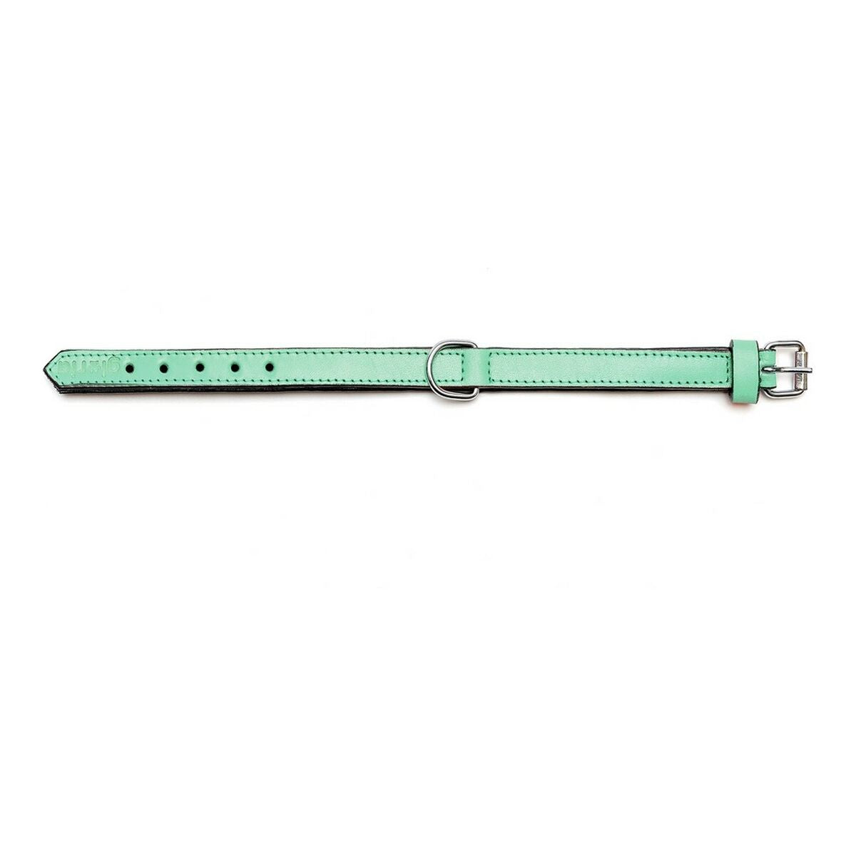 Hundehalsband Gloria Polsterung grün 55 cm (55 x 2,5 cm)