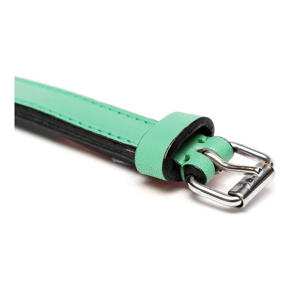 Hundehalsband Gloria Polsterung grün 55 cm (55 x 2,5 cm)