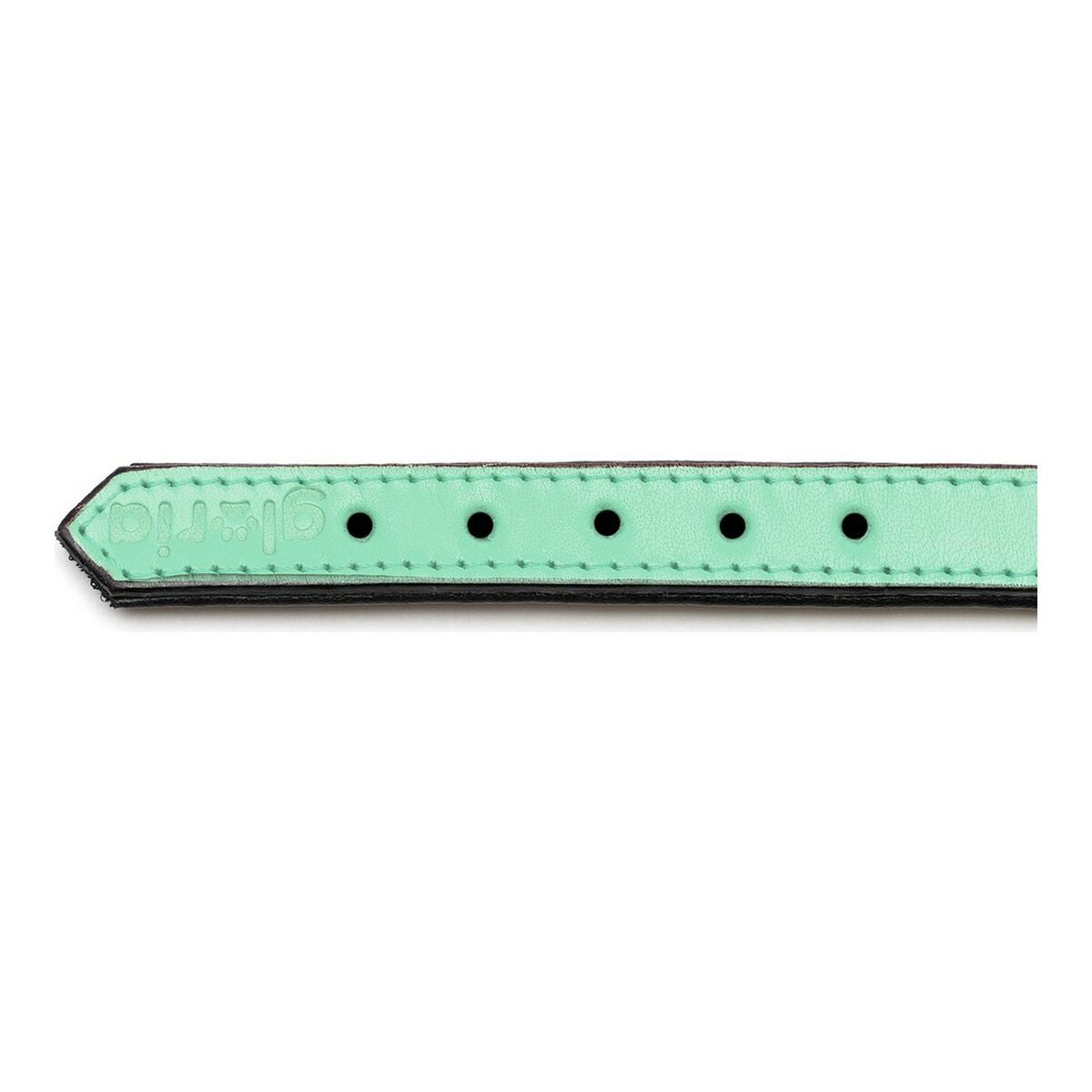 Hundehalsband Gloria Polsterung grün 55 cm (55 x 2,5 cm)