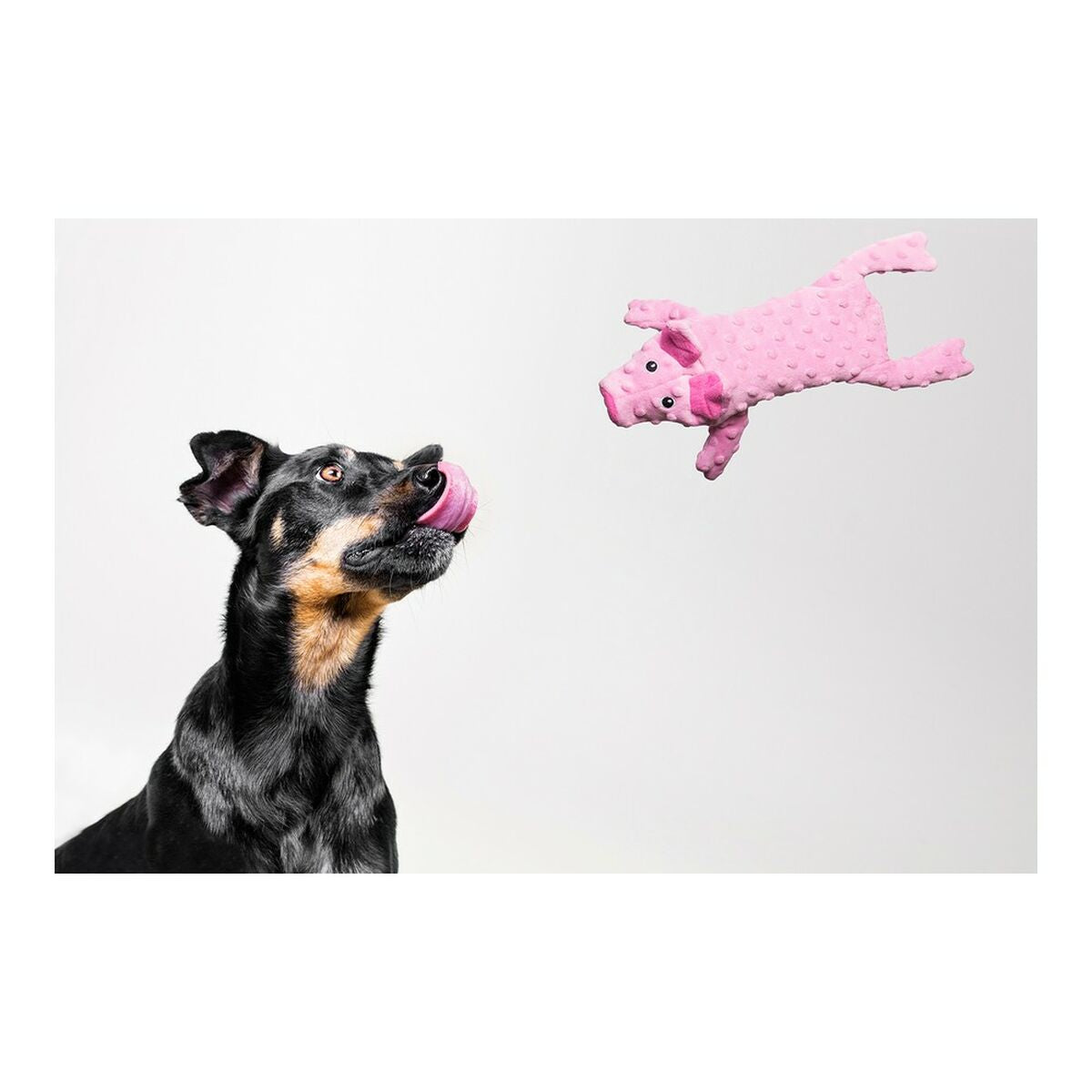 Hundespielzeug Gloria Dogmonsters Rosa Schwein 34 x 9 cm