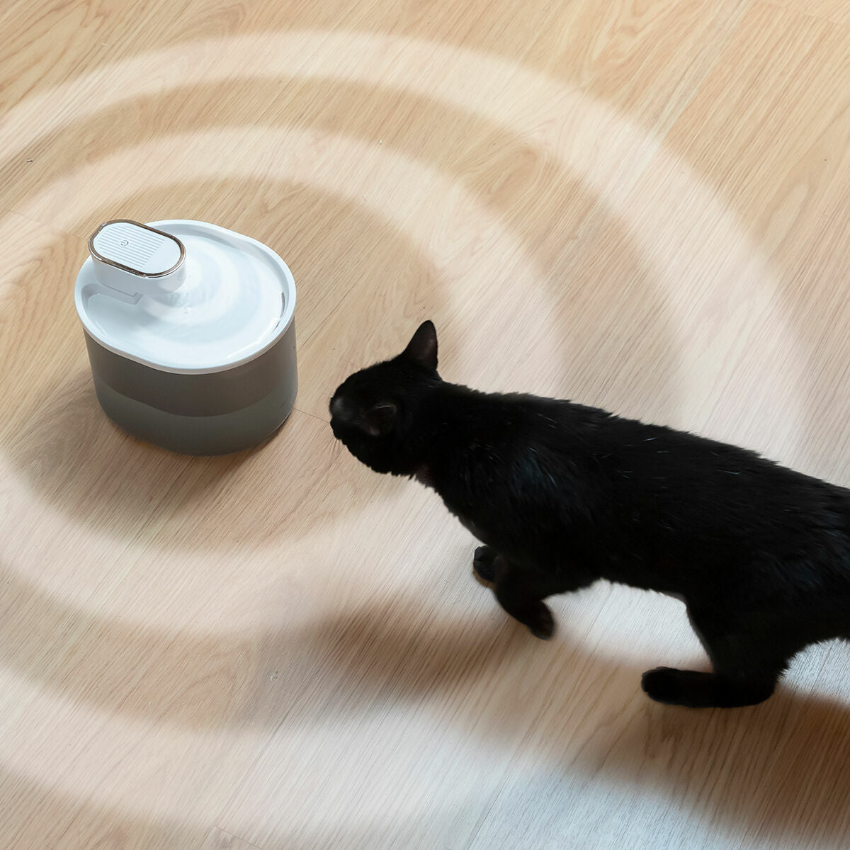 Trinkbrunnen für Katzen mit Akku und Sensor Refopet InnovaGoods