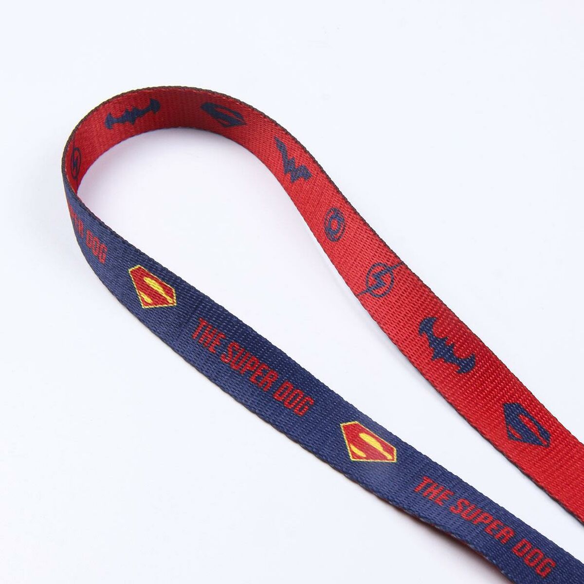 Hundeleine DC Pets Blau S
