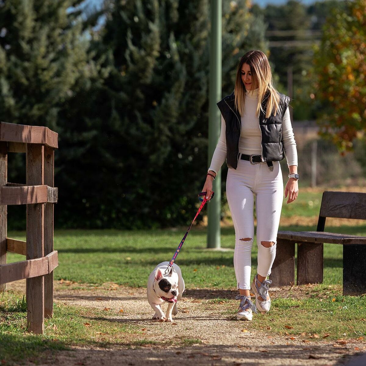 Hundeleine DC Pets Blau S